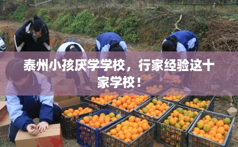 泰州小孩厌学学校，行家经验这十家学校！