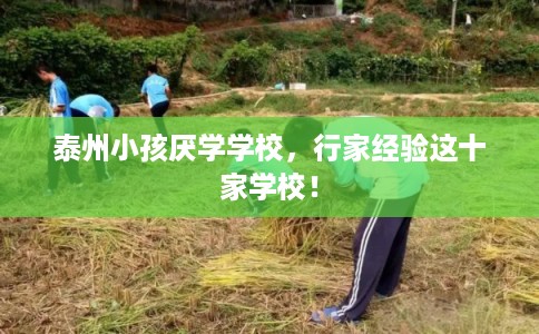 泰州小孩厌学学校，行家经验这十家学校！