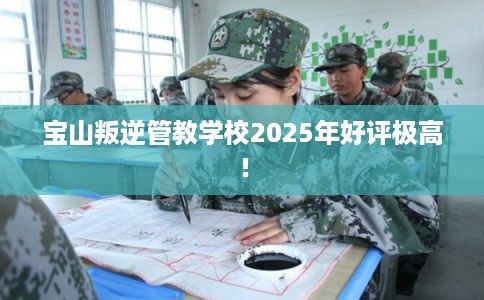 宝山叛逆管教学校2025年好评极高！