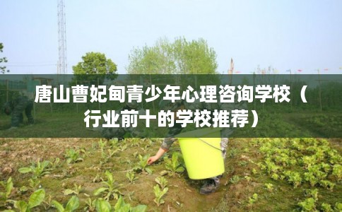 唐山曹妃甸青少年心理咨询学校（行业前十的学校推荐）