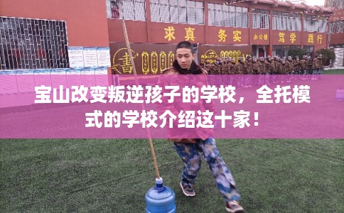宝山改变叛逆孩子的学校，全托模式的学校介绍这十家！