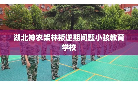 湖北神农架林叛逆期问题小孩教育学校