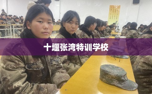 十堰张湾特训学校