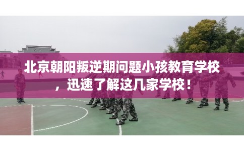 北京朝阳叛逆期问题小孩教育学校，迅速了解这几家学校！