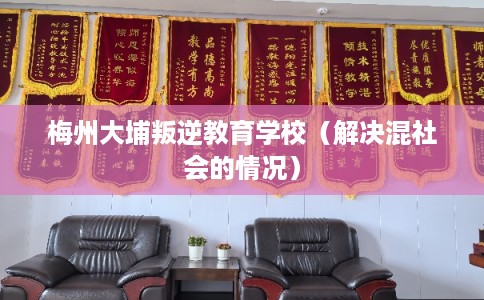 梅州大埔叛逆教育学校（解决混社会的情况）