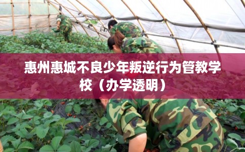 惠州惠城不良少年叛逆行为管教学校（办学透明）