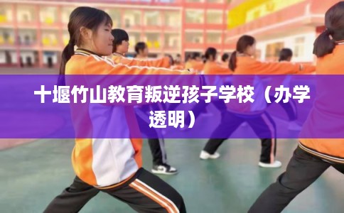 十堰竹山教育叛逆孩子学校（办学透明）