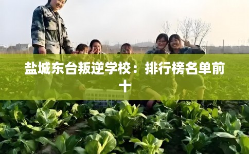 盐城东台叛逆学校：排行榜名单前十