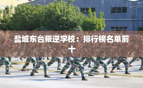 盐城东台叛逆学校：排行榜名单前十