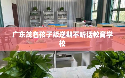 广东茂名孩子叛逆期不听话教育学校
