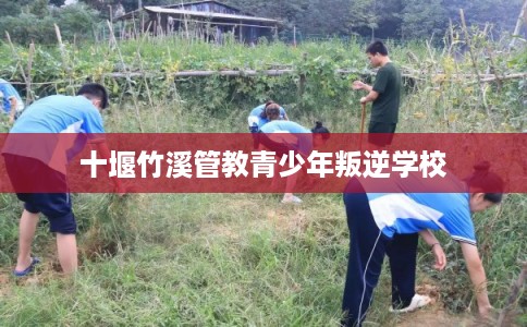 十堰竹溪管教青少年叛逆学校