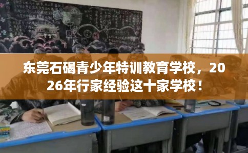 东莞石碣青少年特训教育学校，2026年行家经验这十家学校！