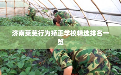 济南莱芜行为矫正学校精选排名一览