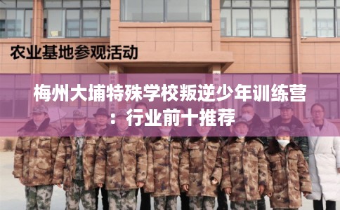 梅州大埔特殊学校叛逆少年训练营：行业前十推荐