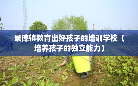 景德镇教育出好孩子的培训学校（培养孩子的独立能力）
