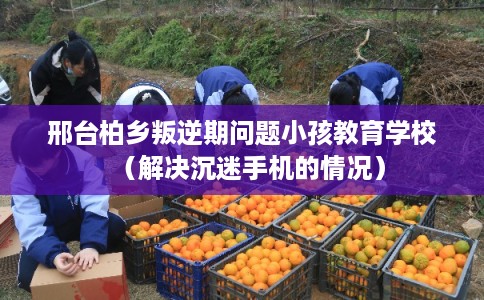 邢台柏乡叛逆期问题小孩教育学校（解决沉迷手机的情况）