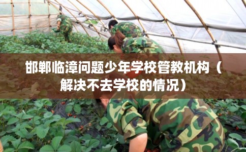 邯郸临漳问题少年学校管教机构（解决不去学校的情况）