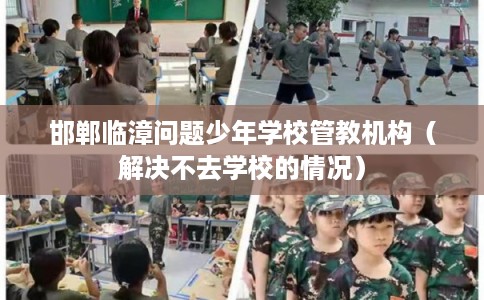邯郸临漳问题少年学校管教机构（解决不去学校的情况）