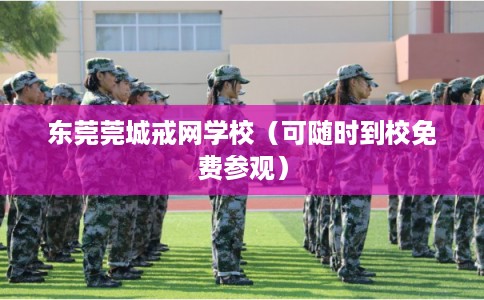 东莞莞城戒网学校（可随时到校免费参观）