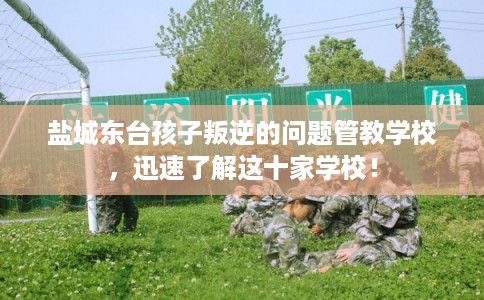 盐城东台孩子叛逆的问题管教学校，迅速了解这十家学校！