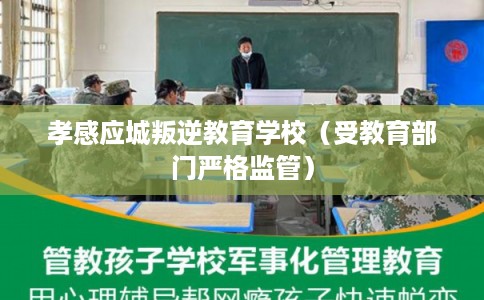 孝感应城叛逆教育学校（受教育部门严格监管）