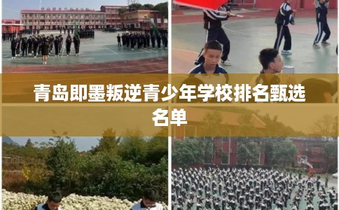 青岛即墨叛逆青少年学校排名甄选名单