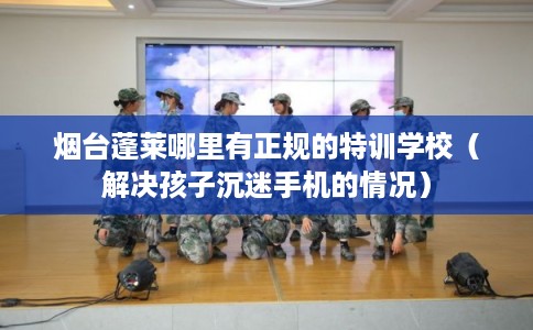 烟台蓬莱哪里有正规的特训学校（解决孩子沉迷手机的情况）