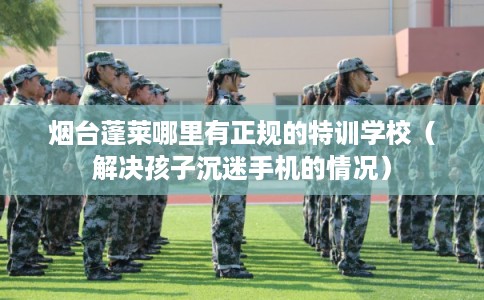 烟台蓬莱哪里有正规的特训学校（解决孩子沉迷手机的情况）