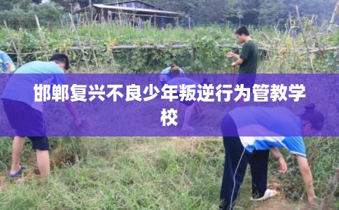 邯郸复兴不良少年叛逆行为管教学校