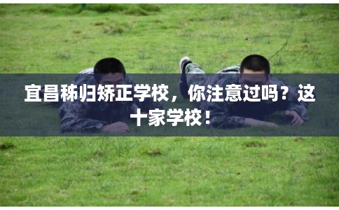 宜昌秭归矫正学校，你注意过吗？这十家学校！