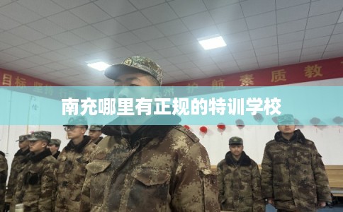 南充哪里有正规的特训学校