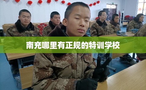南充哪里有正规的特训学校