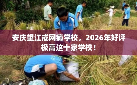 安庆望江戒网瘾学校，2026年好评极高这十家学校！