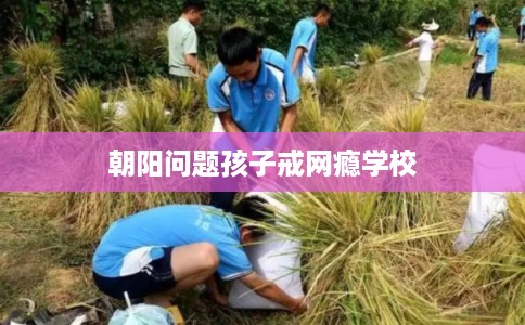 朝阳问题孩子戒网瘾学校
