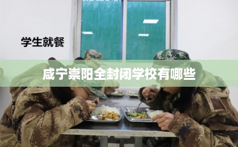 咸宁崇阳全封闭学校有哪些