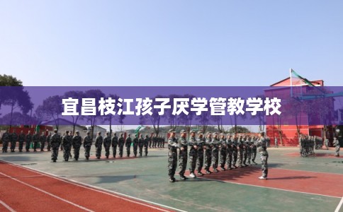 宜昌枝江孩子厌学管教学校