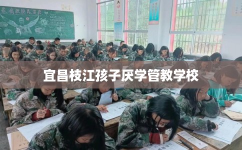 宜昌枝江孩子厌学管教学校