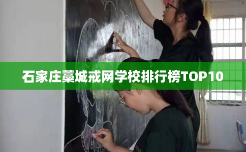 石家庄藁城戒网学校排行榜TOP10