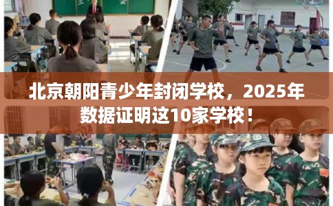 北京朝阳青少年封闭学校，2025年数据证明这10家学校！
