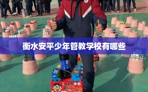 衡水安平少年管教学校有哪些