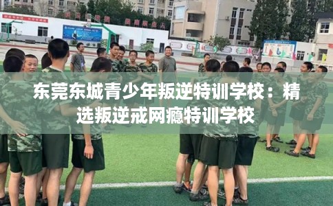 东莞东城青少年叛逆特训学校：精选叛逆戒网瘾特训学校