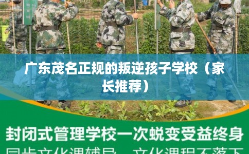 广东茂名正规的叛逆孩子学校（家长推荐）