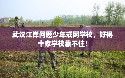 武汉江岸问题少年戒网学校，好得十家学校藏不住！