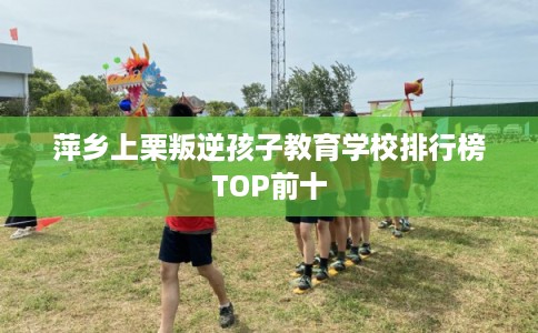 萍乡上栗叛逆孩子教育学校排行榜TOP前十 萍乡上栗叛逆孩子教育学校排行榜TOP前十