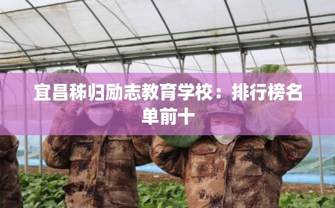 宜昌秭归励志教育学校：排行榜名单前十