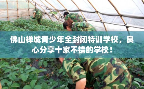 佛山禅城青少年全封闭特训学校，良心分享十家不错的学校！