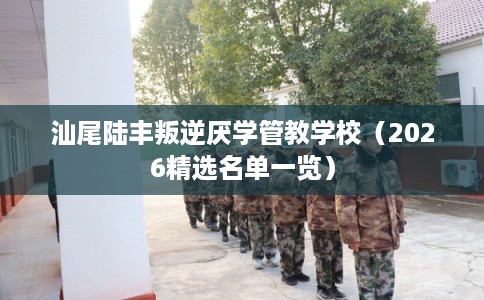 汕尾陆丰叛逆厌学管教学校（2026精选名单一览）