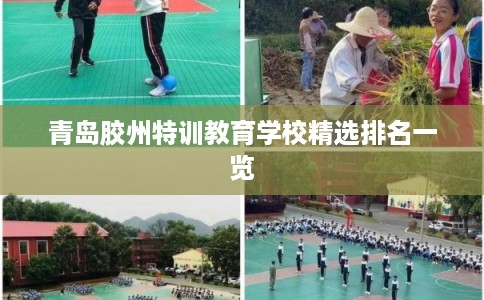 青岛胶州特训教育学校精选排名一览