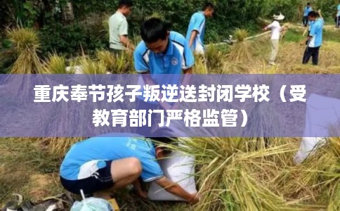重庆奉节孩子叛逆送封闭学校（受教育部门严格监管）