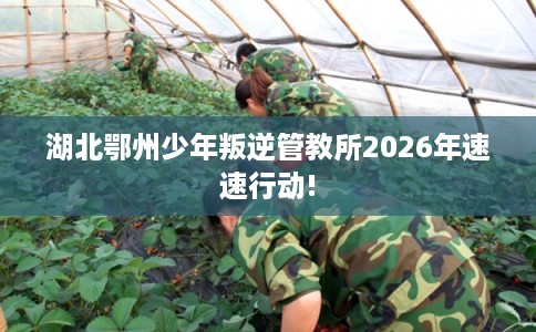 湖北鄂州少年叛逆管教所2026年速速行动!